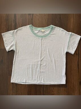 Hem & Thread White Tee with Black Stripes and Mint Collar